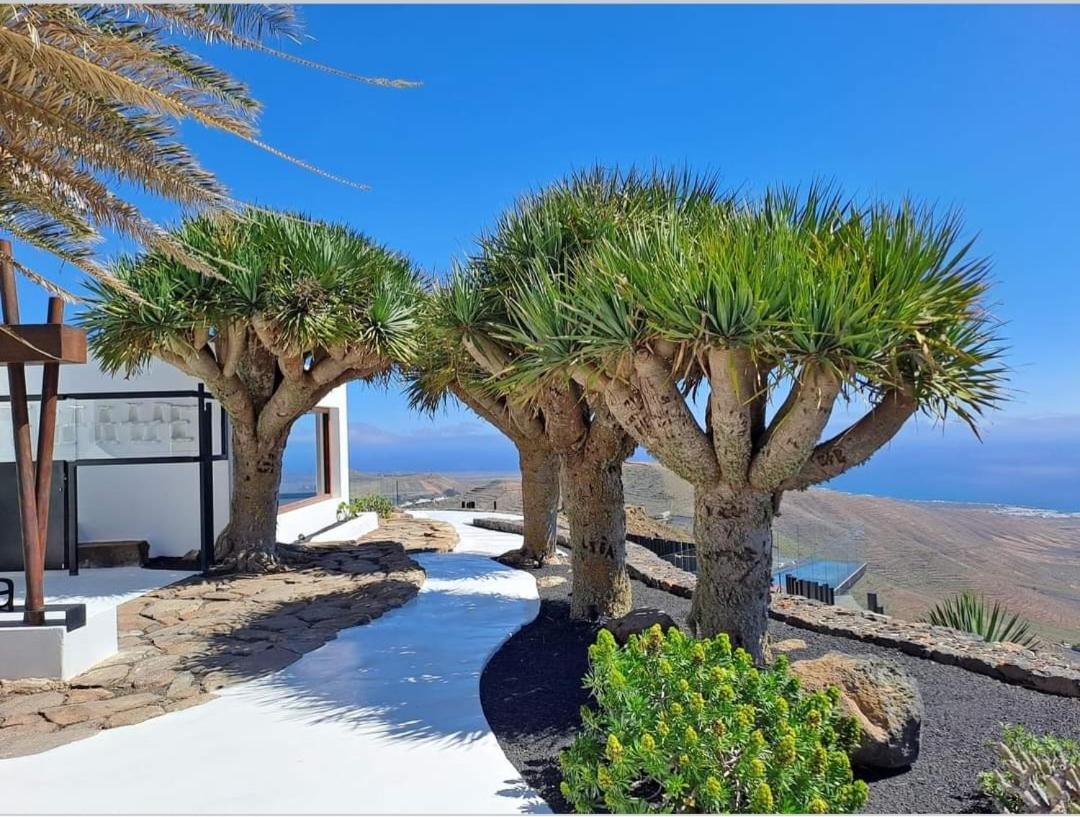 Casa La Tunera, Country House, Haria, Lanzarote Ferienhaus